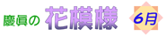 花模様／専慶流