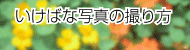 ʐ^̎B